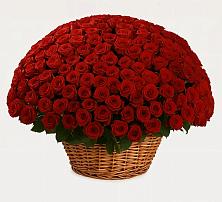 Премиум букет из: Розы в Райсеменовское